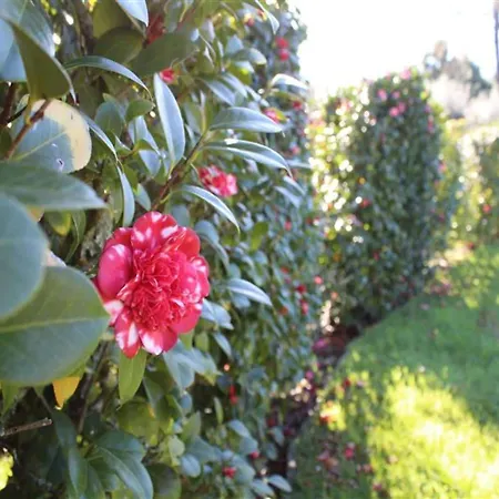Santa Comba Garden Cottage, Cleaning Included